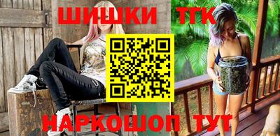прущие грибы Гатчина