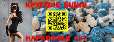 прущие грибы Гатчина