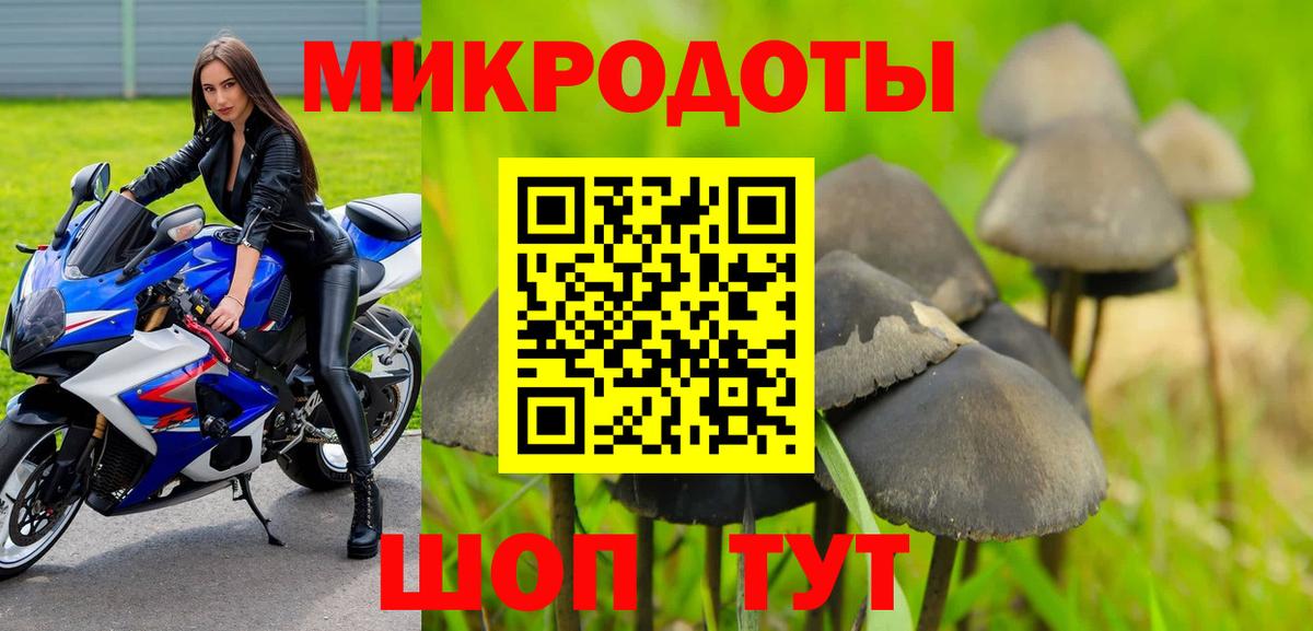 Ефремов  Псилоцибиновые грибы Psilocybe  Псилоцибиновые грибы Cubensis  Вход с VPN 